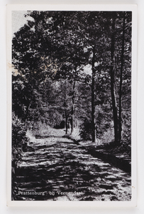 18265 Gezicht in het Prattenburgse Bos bij Veenendaal.